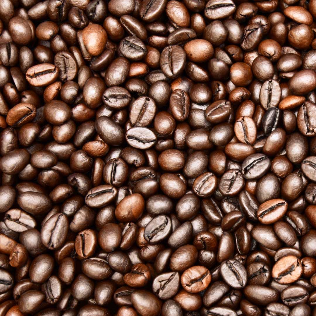 First Capitol Trading Co Kingston Ontario Coffee